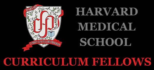 Harvard Curriculum Fellows