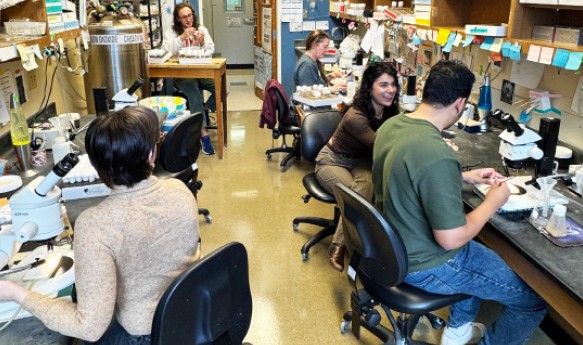 The Sekelsky lab Fly Room