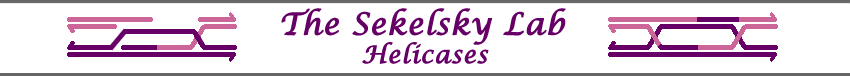 Anti-Crossover Helicases